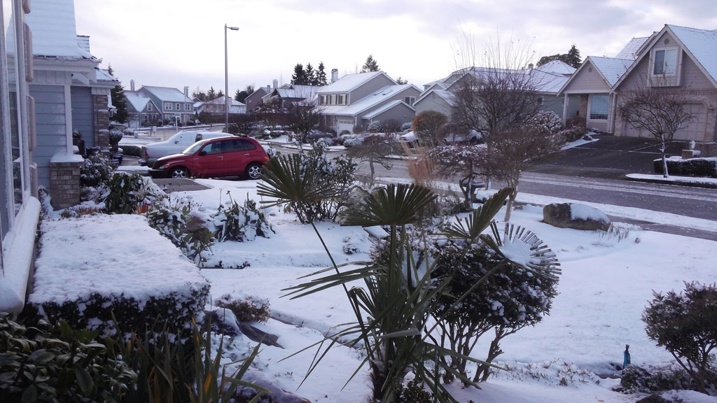 20141129_111640.jpg : 눈이 많이 왔습니다.