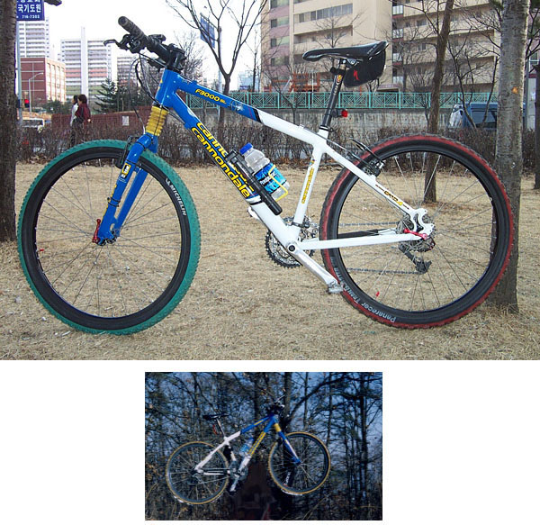 Cannondale F3000
