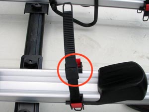 IMG_0017 copy.jpg