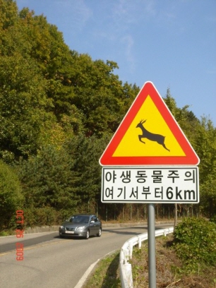 re_re_DSC04132.JPG