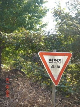 re_re_DSC04133.JPG