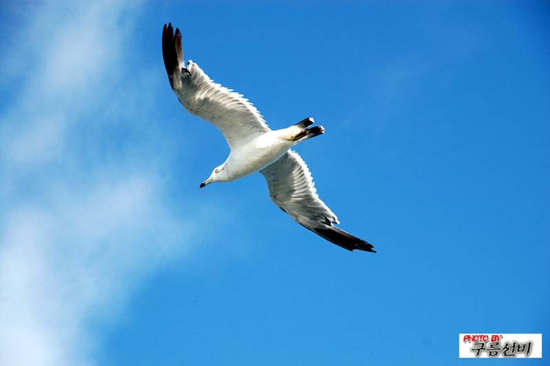 DSC_2561.jpg