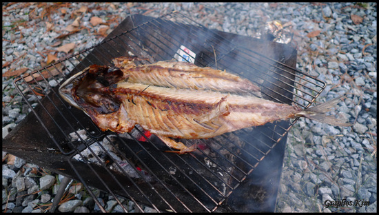 p1020590_phoskim.jpg