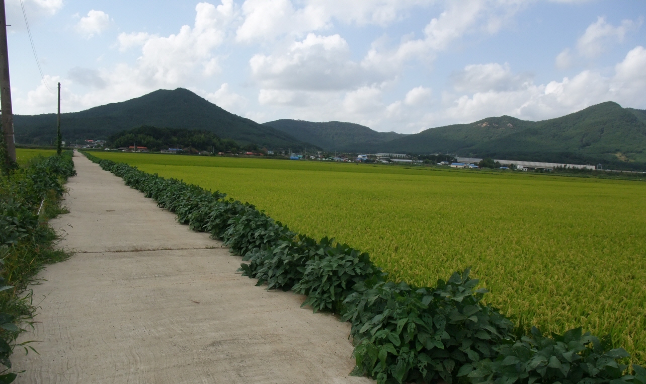 크기변환_DSCF1822.JPG