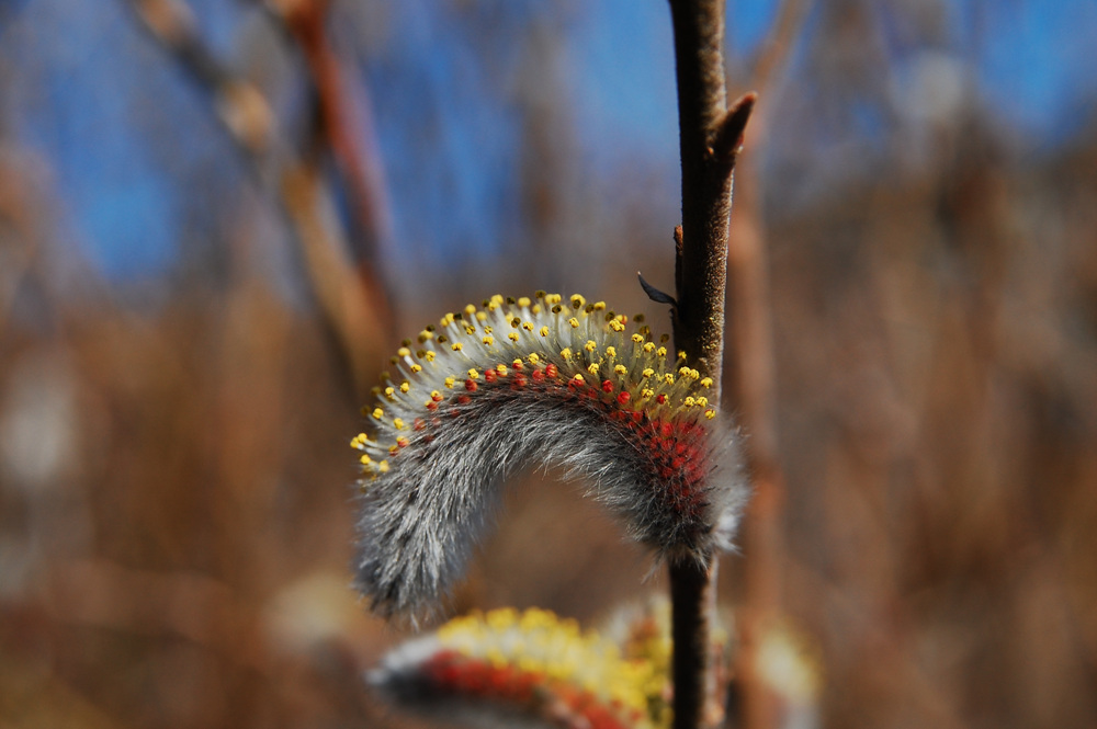 DSC_1749.jpg