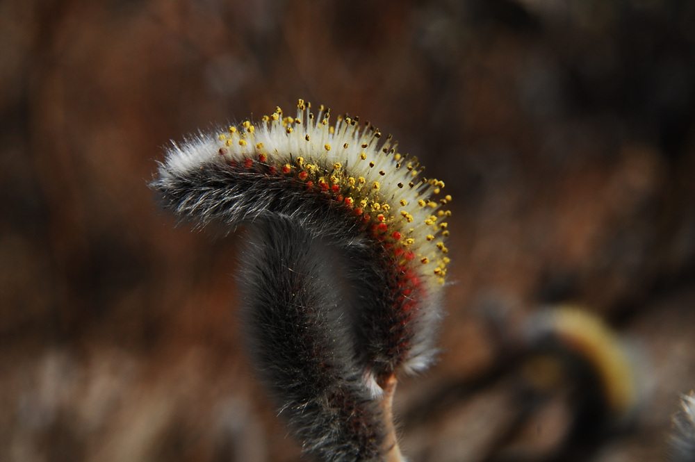 DSC_1773.jpg