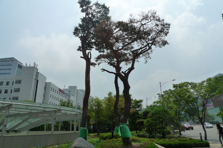 크기변환_P1040037.JPG
