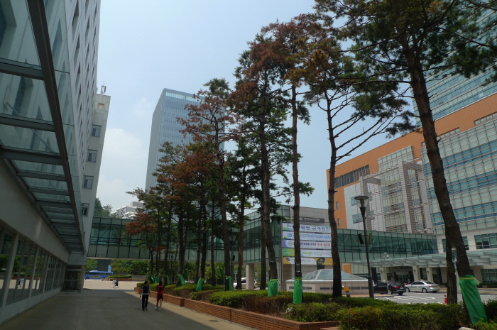 크기변환_P1040031.JPG