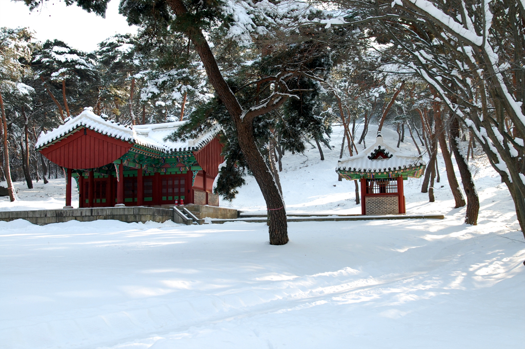 DSC_1914.jpg