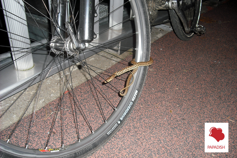 DSCF1764.jpg