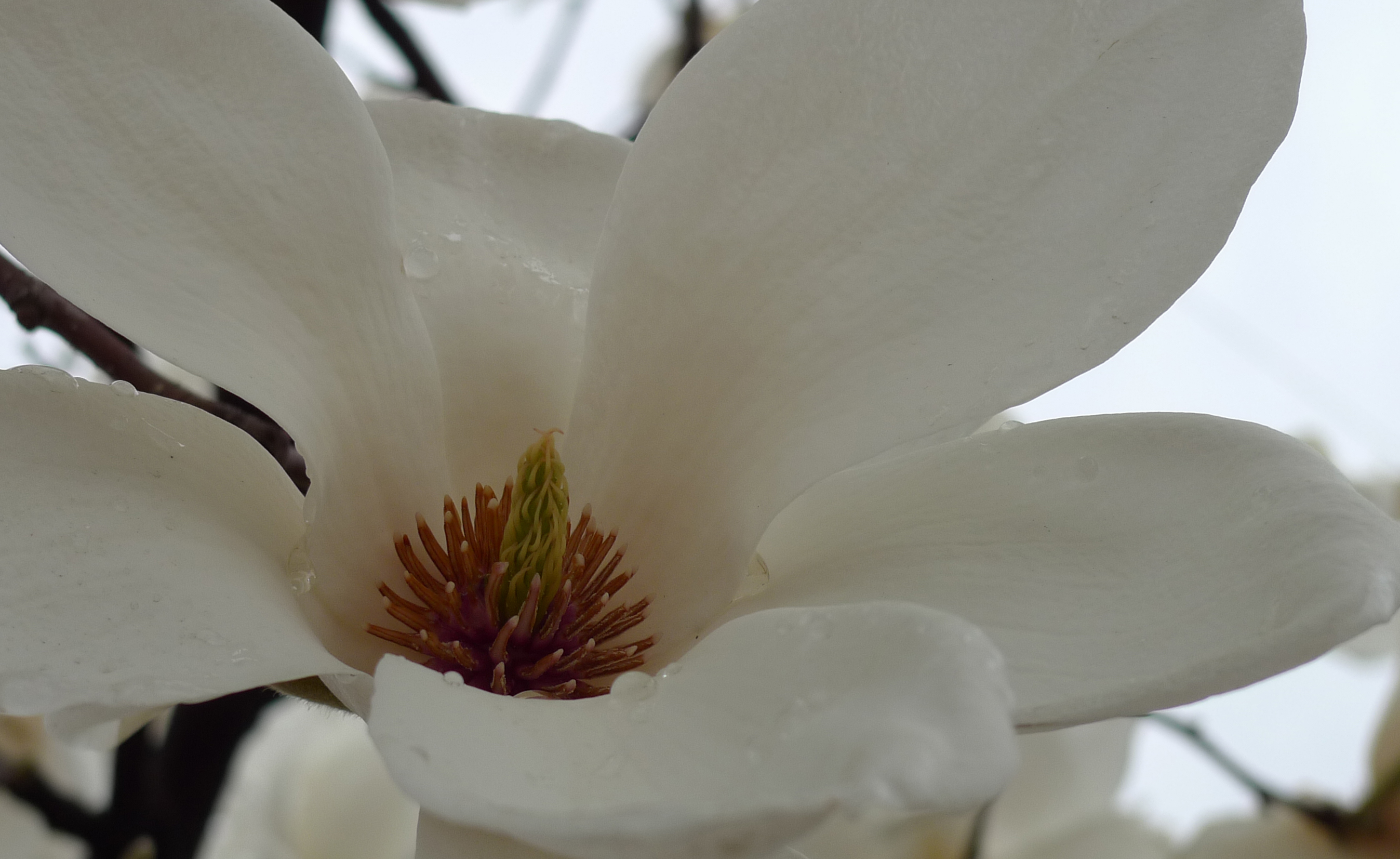 P1010500.JPG