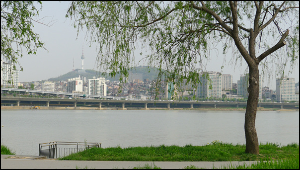 P1010784.jpg