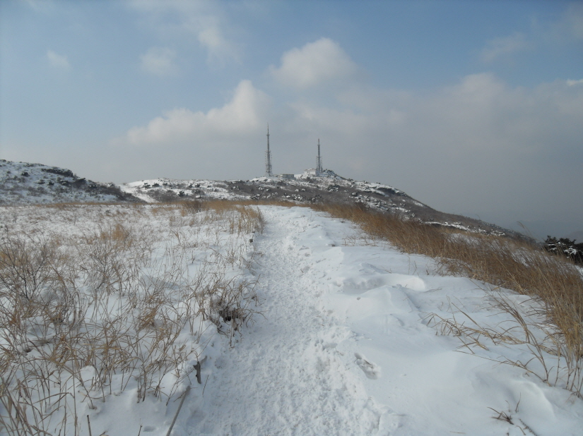 SDC14291.JPG