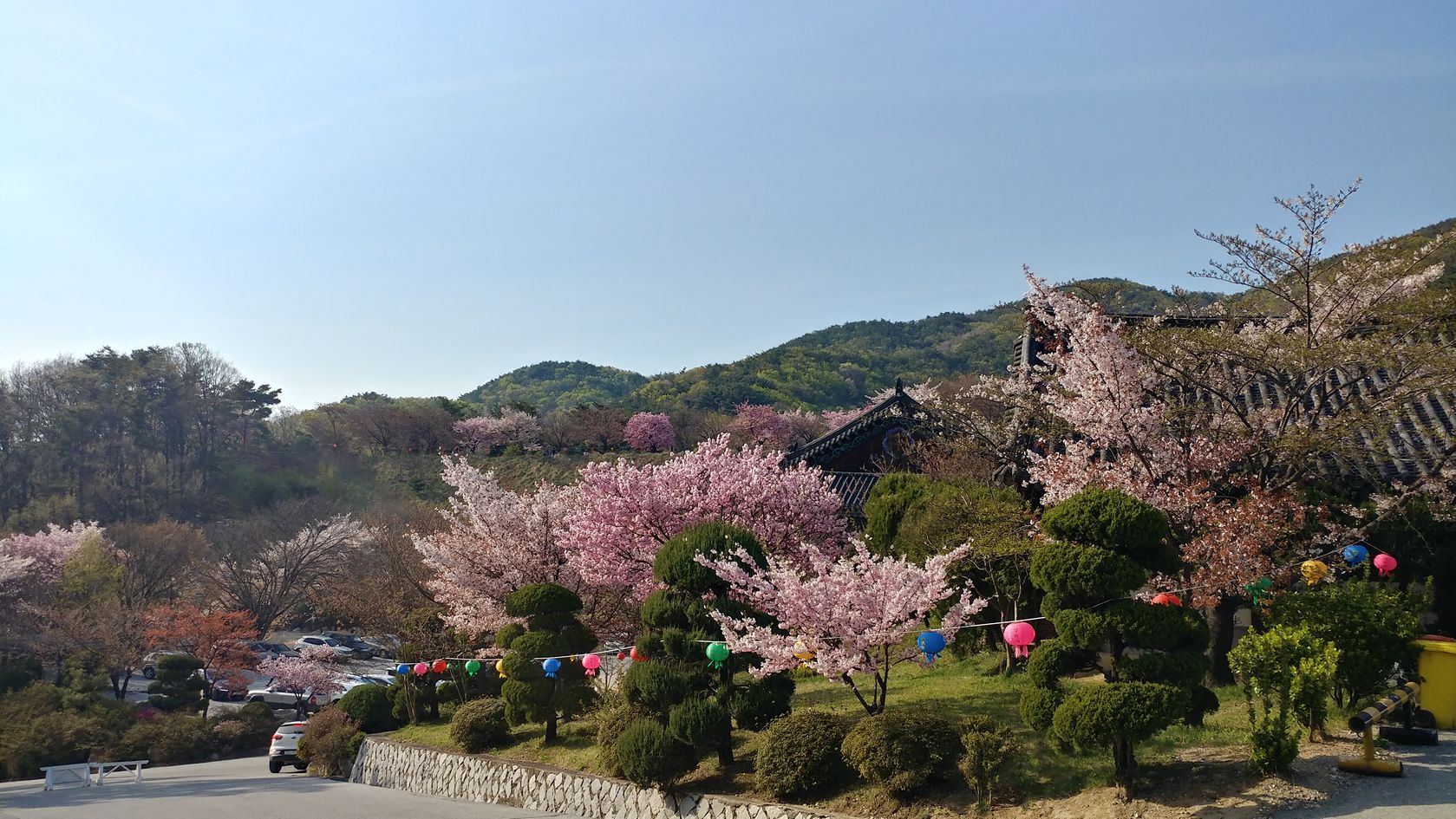 20200414_163448_HDR.jpg