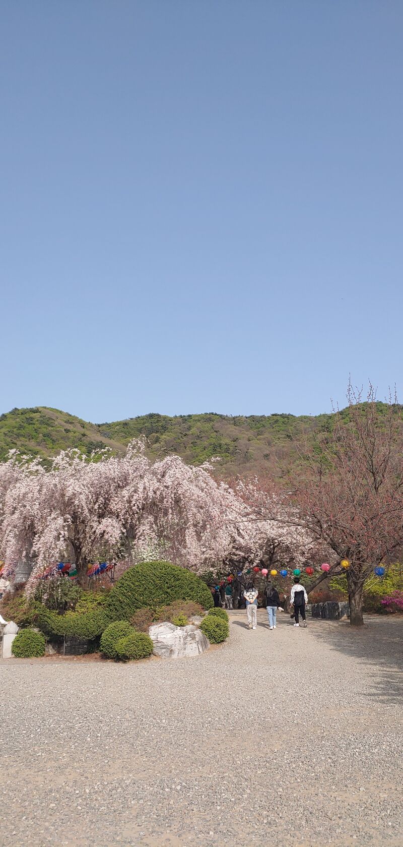 KakaoTalk_20230410_215415084_02.jpg