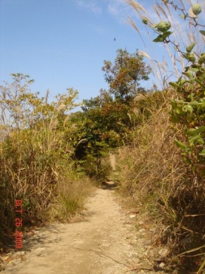 re_re_DSC04108.JPG