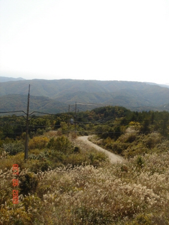re_re_DSC04118.JPG