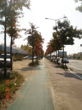 re_re_DSC04134.JPG