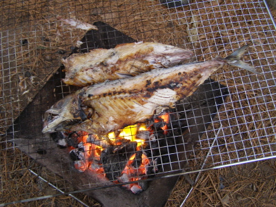 Fish.jpg