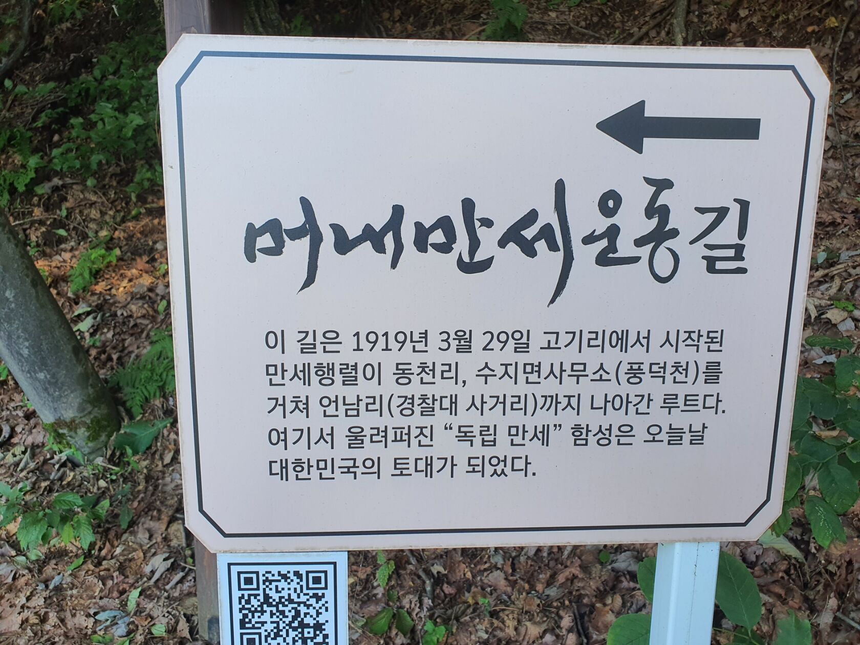 20220816_161408.jpg