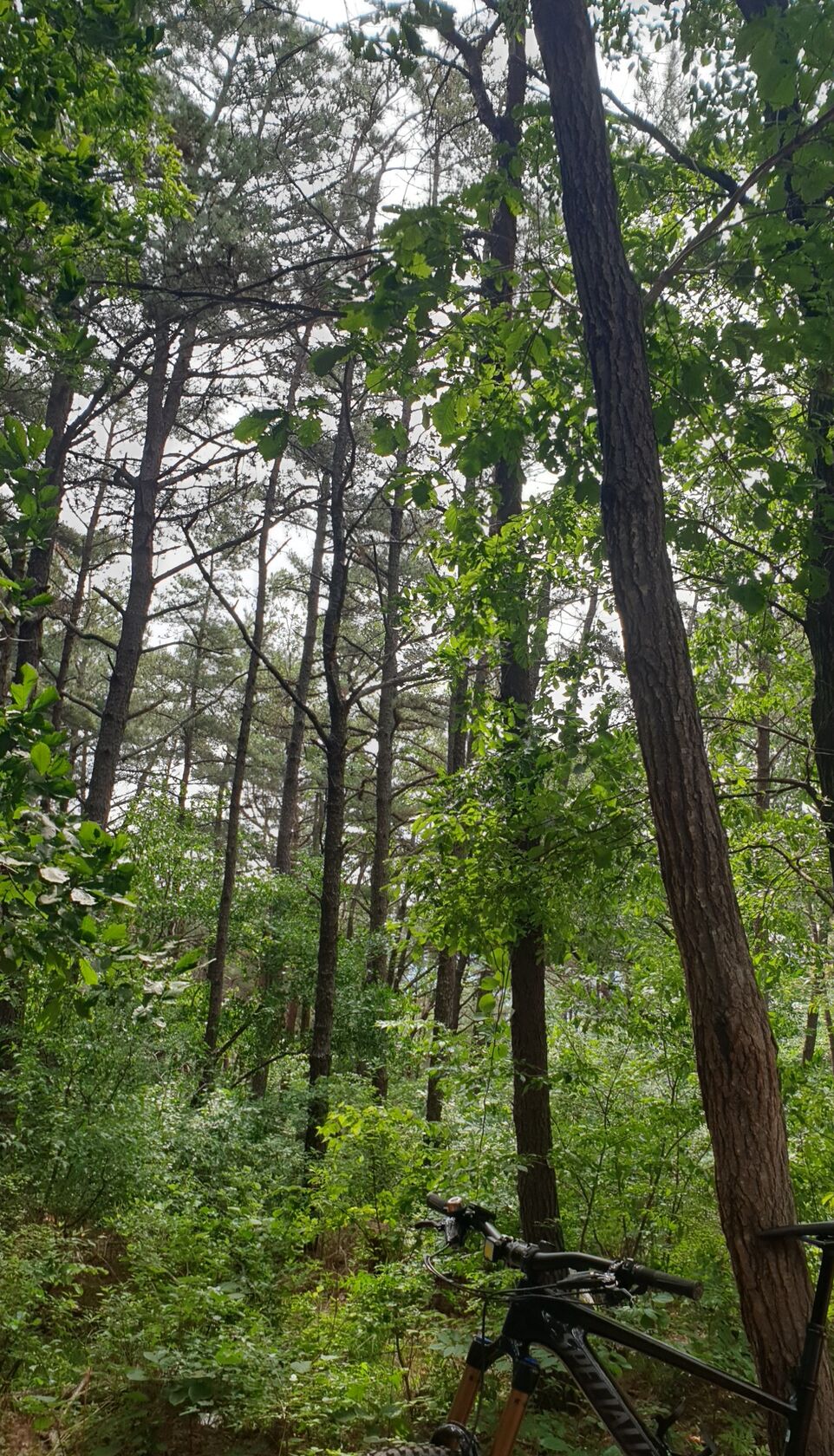 20250523_094303_2.jpg