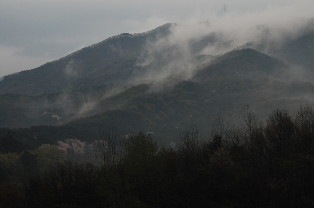 DSC_3594.jpg