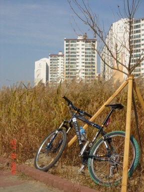 re_re_DSC04147.JPG