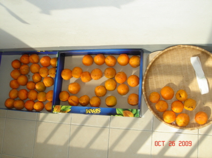 re_re_DSC04158.JPG