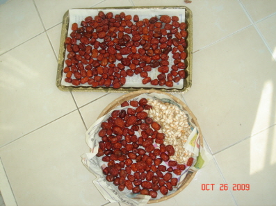 re_re_DSC04159.JPG
