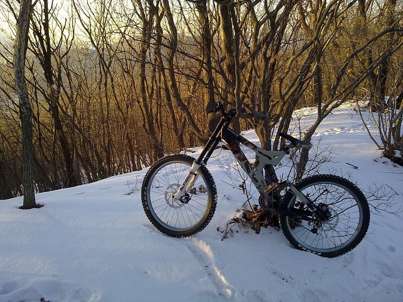 20110109046.jpg