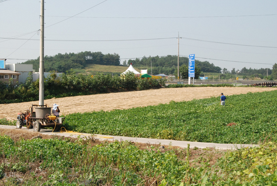 p 030.jpg