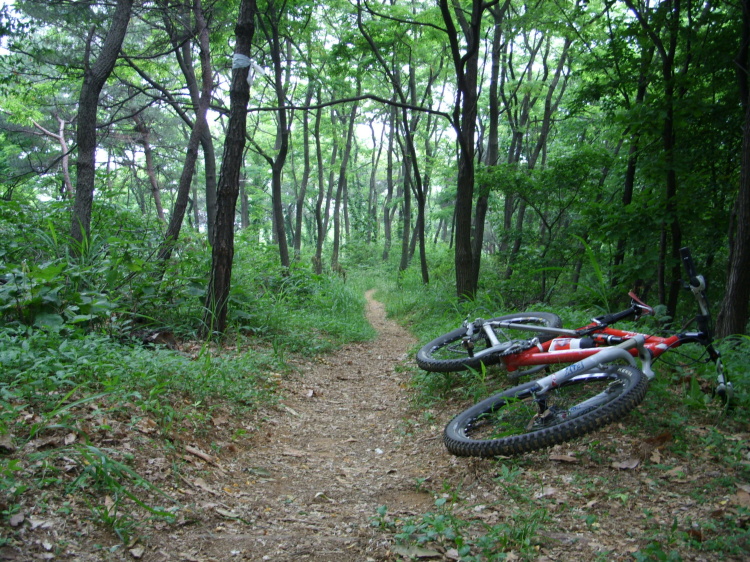 070607-8.jpg