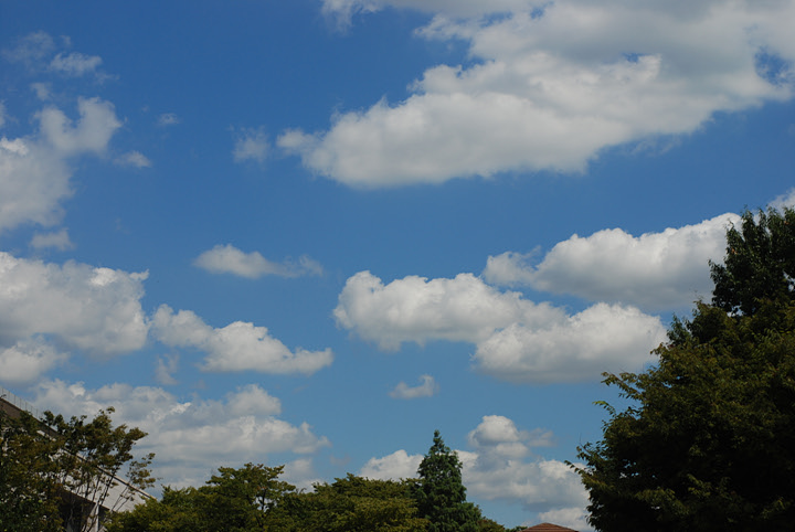 DSC_2466.jpg