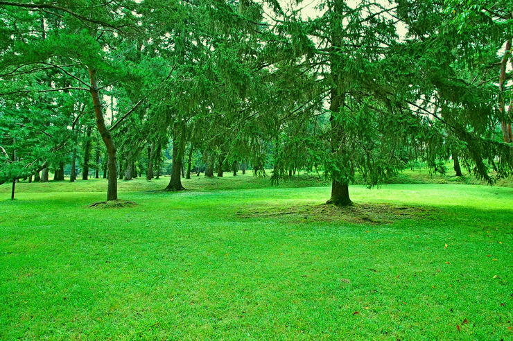 DSC_0512.jpg