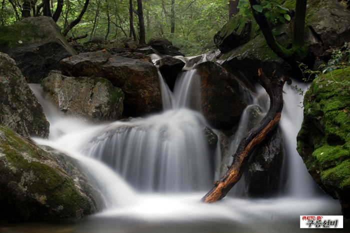 DSC_1530.jpg