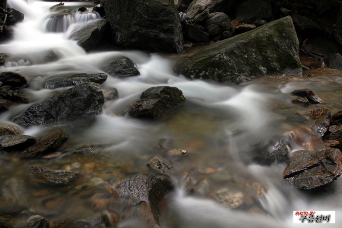 DSC_1565.jpg