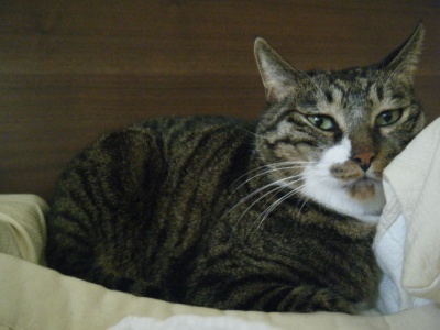DSCF3235.jpg