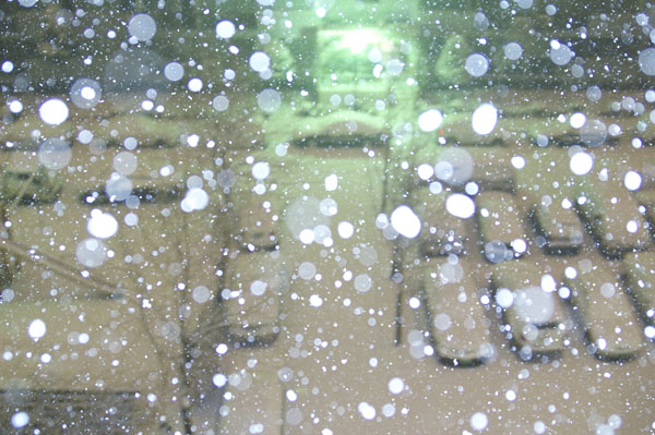 PICT0336.jpg