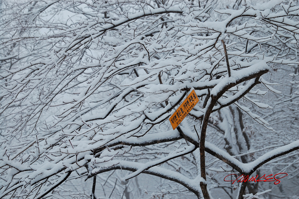 DSC_0791.jpg