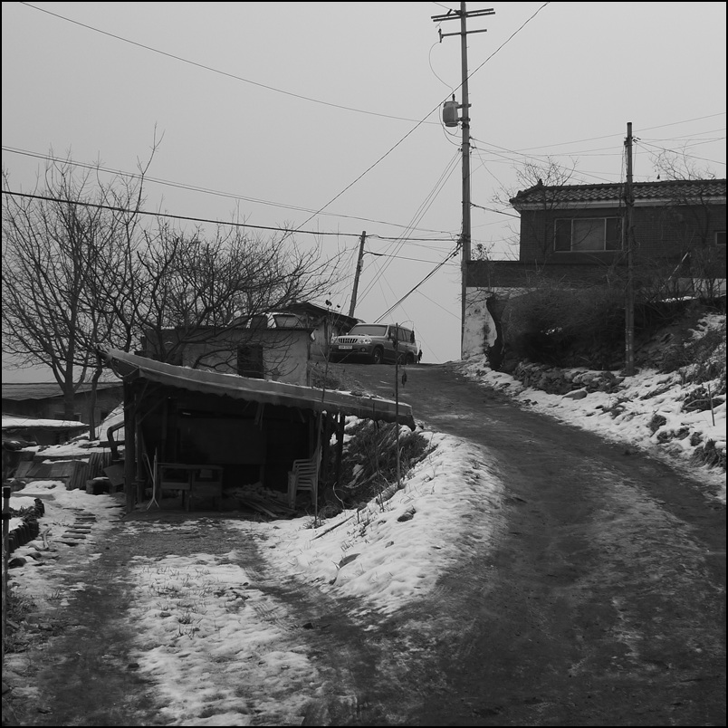 P1010460.jpg
