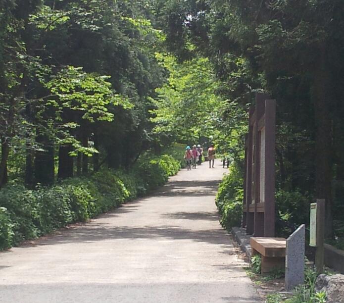 20140527_141733-1.jpg : 제주 다녀왔습니다.^^