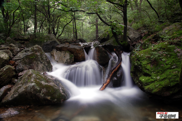 dsc_1517.jpg