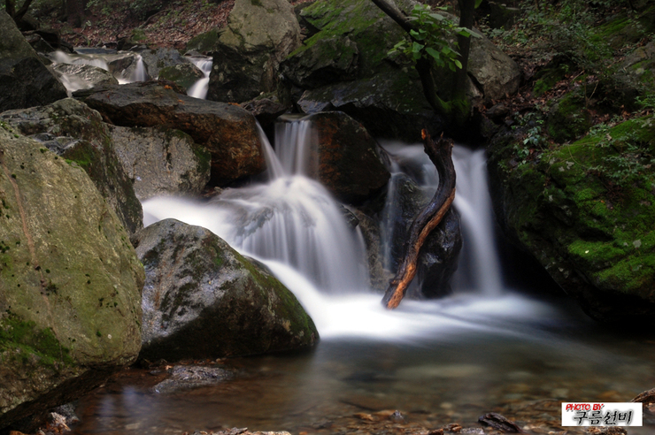 dsc_1558.jpg