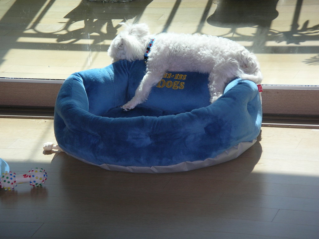 DSCN6448.jpg