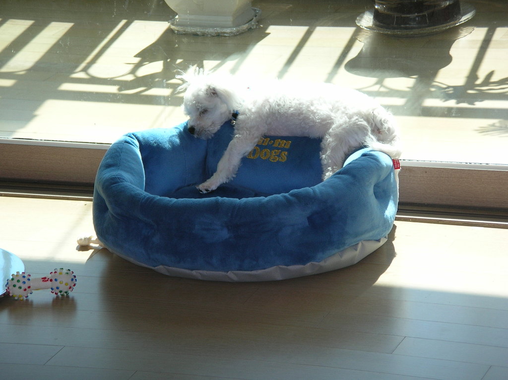 DSCN6449.jpg