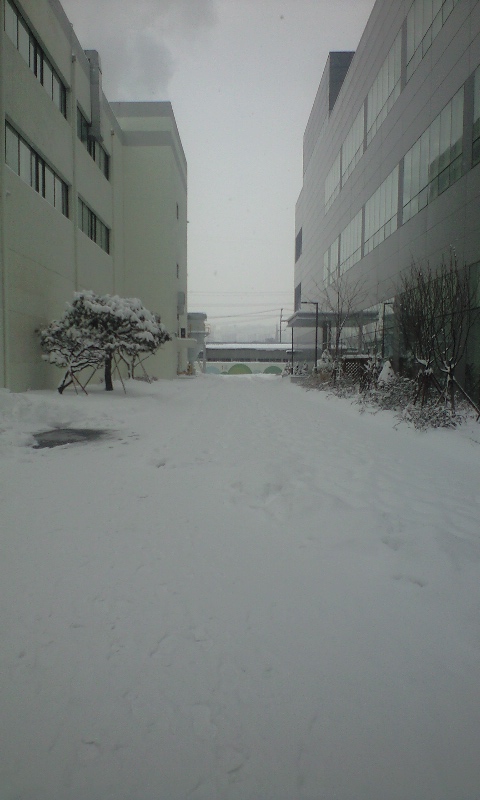 사진 0100104_005.jpg