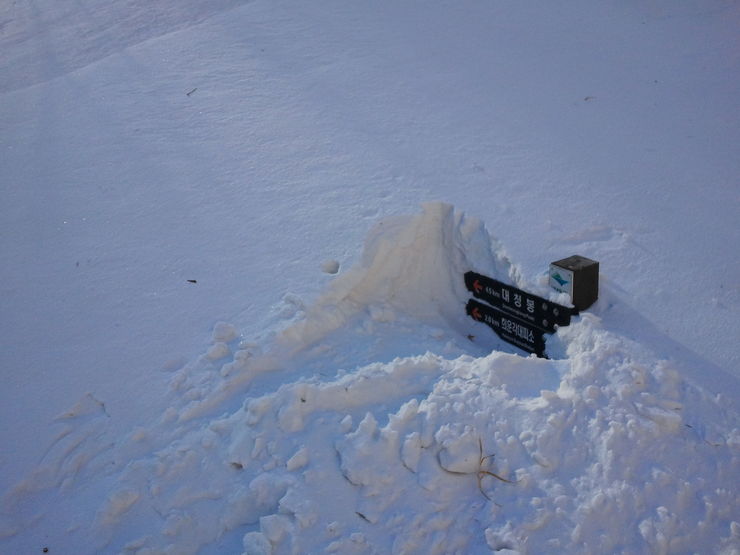 2012-02-09 10.18.36.jpg