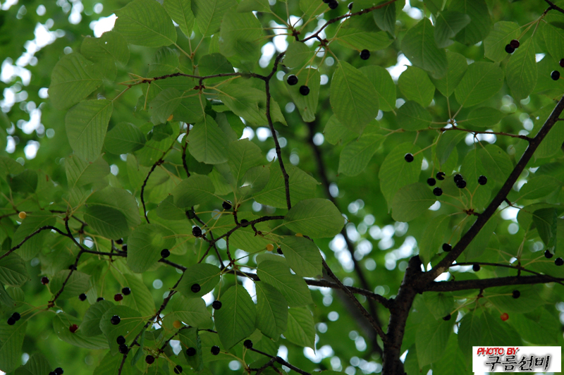 DSC_0187.jpg