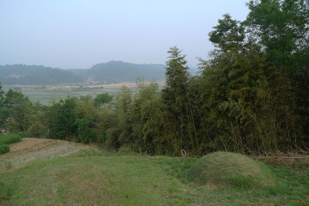P1020299.jpg