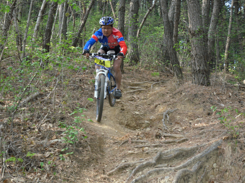 SDC15056.jpg